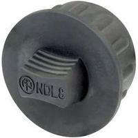 Protective cap Neutrik NDL8 Black 1 pc(s)