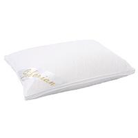 Premium Soft Siberian Goose Down Pillows (2)