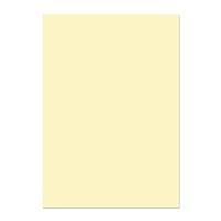 premium business a4 297 x 210 mm vellum paper pack of 500