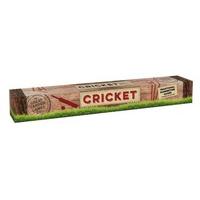 Professor Puzzle GG1655 Cricket Set