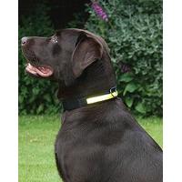 Premium Flashing Collar Yellow Small