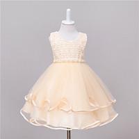 Princess Knee-length Flower Girl Dress - Tulle Netting Polyester Taffeta Jewel with Applique Sequin Appliques Bow(s) Pearl Detailing lace