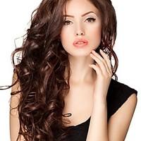 Premierwigs 8\'\'-26\'\' Body Wave Brazilian Virgin Glueless Full Lace Human Hair Wigs Glueless Lace Front Wigs 8A