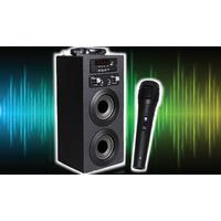 PRO STIMA 53810KH Speaker with Microphone