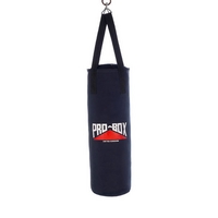 pro box ballistic punch bags