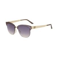 Prodesign Sunglasses 8113 Sun 6722