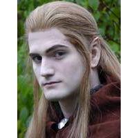 prosthetic ears elven standard