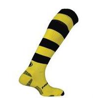 prostar pegasus hoops socks yellow black