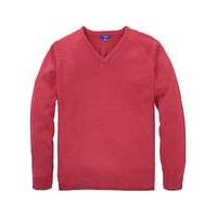 premier man v neck sweater regular