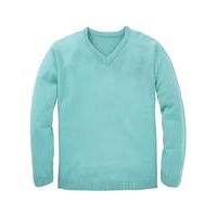 Premier Man V Neck Sweater Regular