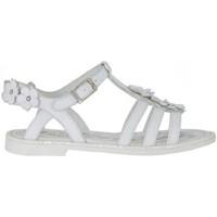 primigi 7206 sandals kid bianco boyss childrens sandals in white