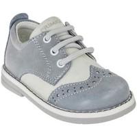 primigi 7530 lace up heels kid grey boyss childrens walking boots in g ...