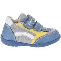 Primigi 7009 Sneakers Kid Celeste boys\'s Children\'s Shoes (Trainers) in blue