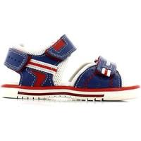 Primigi 1089 Sandals Kid Royal blu/bco girls\'s Children\'s Sandals in blue