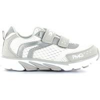 primigi 3375 sneakers kid boyss childrens shoes trainers in silver