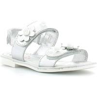 Primigi 3125 Sandals Kid girls\'s Children\'s Sandals in Silver