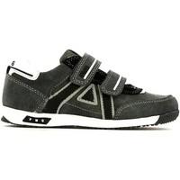 Primigi 4353 Sneakers Kid Grey boys\'s Children\'s Shoes (Trainers) in grey