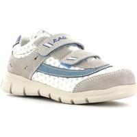 Primigi 3179 Sneakers Kid Perla/bianco boys\'s Children\'s Shoes (Trainers) in white