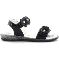 primigi 3198 sandals kid platino boyss childrens sandals in grey