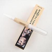 Professional Natural Concealer Foundation Makeup Cosmetic Brush Pen(Net:3.6ML)