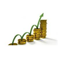 profitability strategies for small established businesses