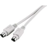 PS/2 Keyboard/mouse Cable [1x PS/2 plug - 1x PS/2 plug] 1.80 m Grey Digitus