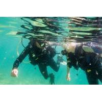 Pula Discover Scuba Diving Package