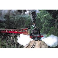 puffing billy steam train yarra valley and healesville wildlife sanctu ...
