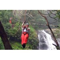 puntarenas shore excursion waterfall canopy zipline tour