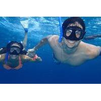 puerto morelos reef snorkeling tour from cancun