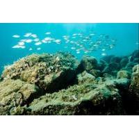 Pula Boat Trip with Snorkeling