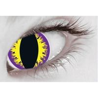 Purple Kitty 1 Month Halloween C...