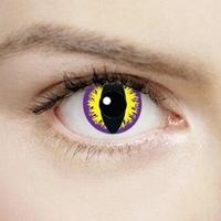 Purple Kitty 1 Day Halloween Col...