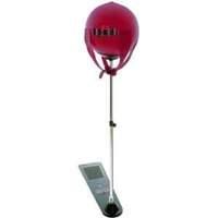 Punchball Stand with Gloves