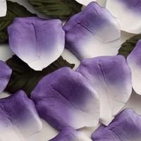 Purple Ombre Rose Petals