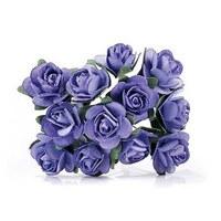 purple tea roses 24 pack