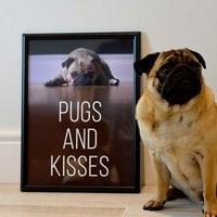 Pugs and Kisses Framed Print