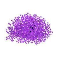 Purple Stars Confetti 14 g