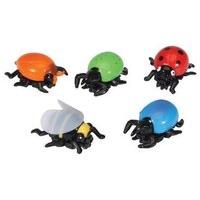 Pull Back Scurry Bug Toys Assorted Designs
