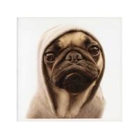 Pug Life Card