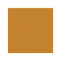 Pumpkin Gloss Large (PRG55) Tiles - 200x200x6.5mm