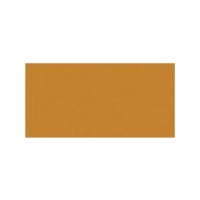 Pumpkin Gloss Oblong (PRG55) Tiles - 200x100x6.5mm