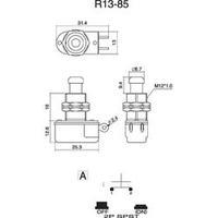 Pushbutton 250 Vac 3 A 1 x Off/(On) SCI R13-85A-05 momentary 1 pc(s)