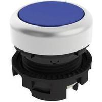 Pushbutton Blue Pizzato Elettrica E21PU2R6290 1 pc(s)