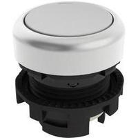 pushbutton white pizzato elettrica e21pu2r2290 1 pcs