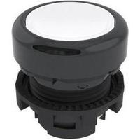 Pushbutton Black Pizzato Elettrica E21PL2R2210 1 pc(s)