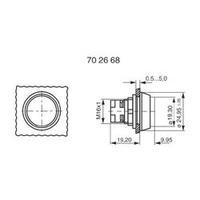 Pushbutton protuding Transparent RAFI DRUCKTASTE FARBLOS 1 pc(s)