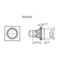 Pushbutton planar Transparent RAFI DRUCKTASTE FARBLOS 1 pc(s)