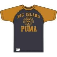 PUMA pacific island rugby raglan tee-Medium