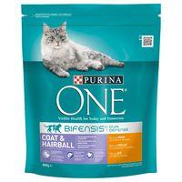 Purina ONE Coat & Hairball Chicken & Whole Grains Dry Cat Food - 800g